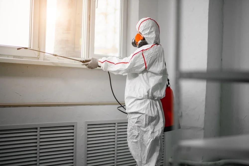 Professional mold remediation services in Fordyce, AR